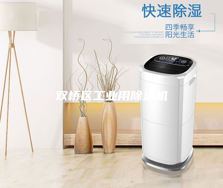 雙橋區工業用除濕機