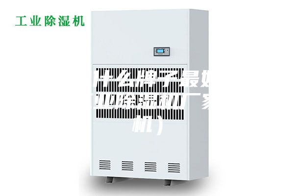 除濕機什么牌子最好（安詩曼工業(yè)除濕機廠家除濕機）