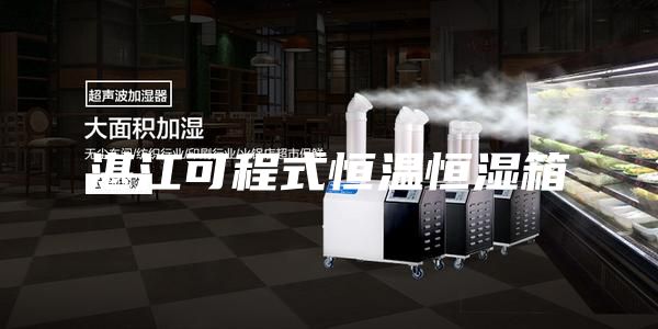 湛江可程式恒溫恒濕箱