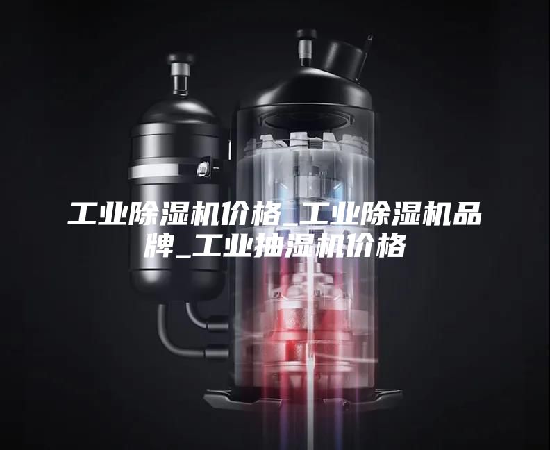 工業(yè)除濕機(jī)價格_工業(yè)除濕機(jī)品牌_工業(yè)抽濕機(jī)價格