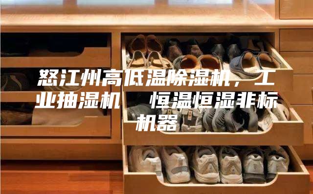 怒江州高低溫除濕機，工業抽濕機  恒溫恒濕非標機器