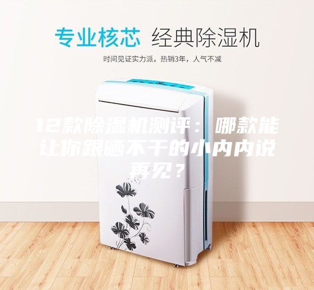 12款除濕機測評:哪款能讓你跟曬不干的小內(nèi)內(nèi)說再見?
