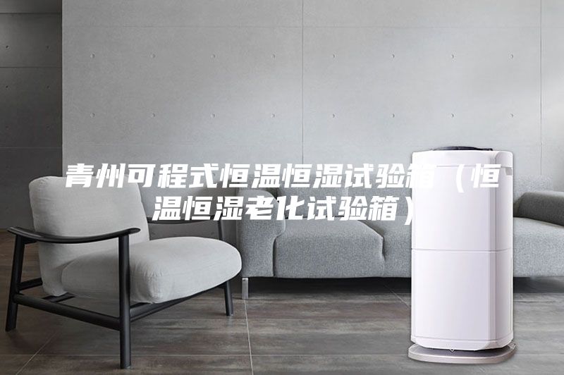 青州可程式恒溫恒濕試驗箱（恒溫恒濕老化試驗箱）