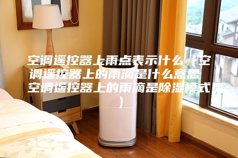 空調(diào)遙控器上雨點表示什么(空調(diào)遙控器上的雨滴是什么意思 空調(diào)遙控器上的雨滴是除濕模式)